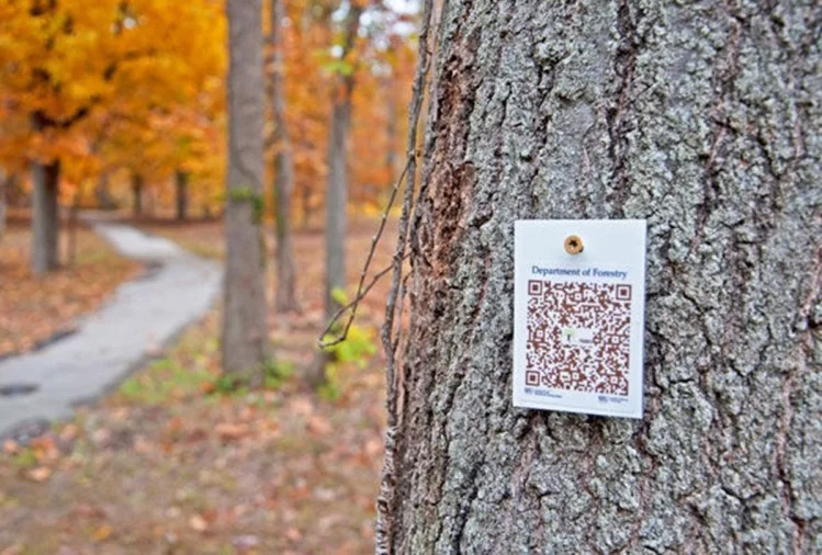 केरल: देश का पहला डिजिटल गार्डन, पेड़ों पर लगे क्यूआर कोड को स्कैन करते ही मिलेगी पूरी जानकारी